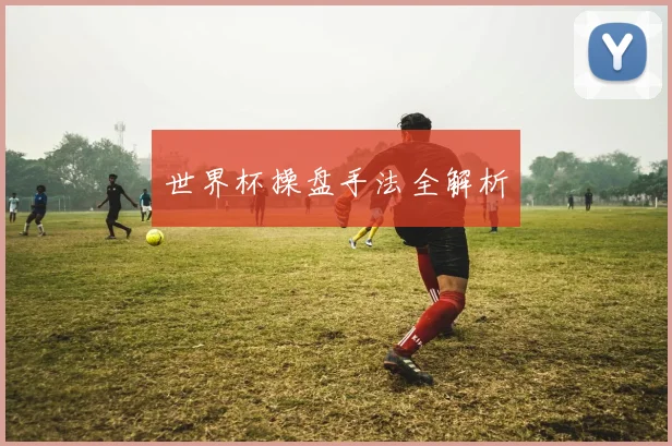 世界杯操盘手法全解析