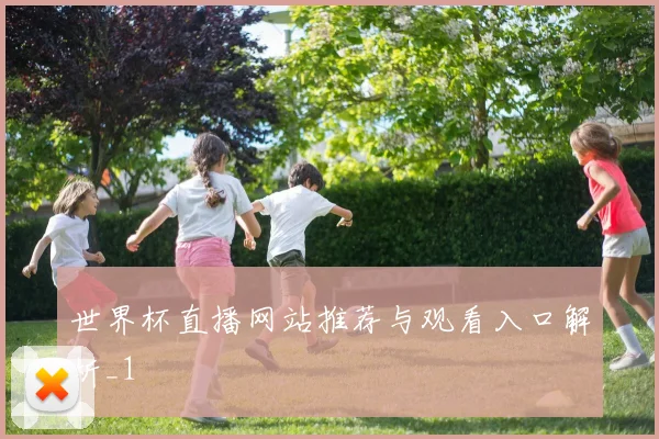 世界杯直播网站推荐与观看入口解析_1
