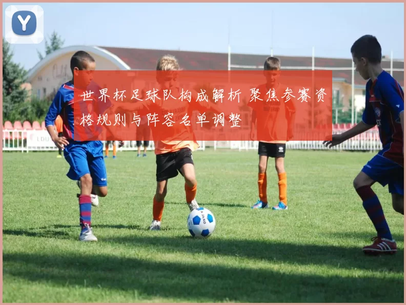 世界杯足球队构成解析 聚焦参赛资格规则与阵容名单调整