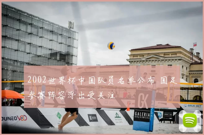 2002世界杯中国队员名单公布 国足参赛阵容浮出受关注