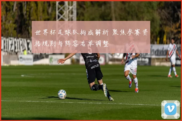 世界杯足球队构成解析 聚焦参赛资格规则与阵容名单调整